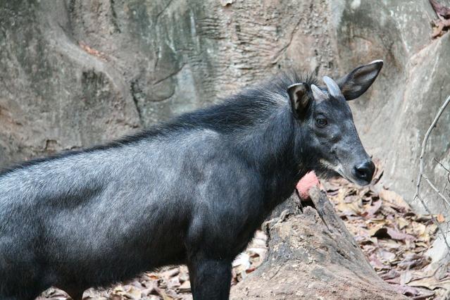 Op Luang National Park